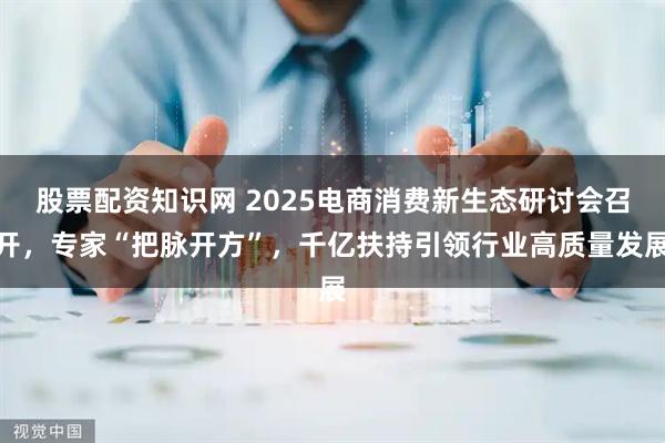 股票配资知识网 2025电商消费新生态研讨会召开，专家“把脉开方”，千亿扶持引领行业高质量发展